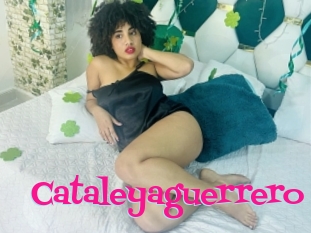 Cataleyaguerrero