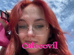 Catecovil