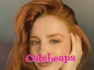 Cateheaps