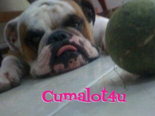 Cumalot4u