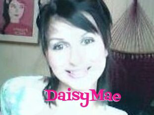 Daisy_Mae