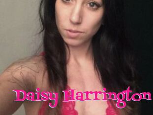 Daisy_Harrington