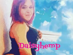 Daisy_hemp