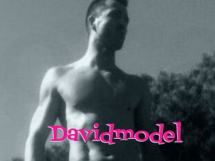 Davidmodel