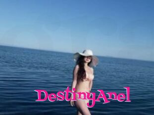 DestinyAnel