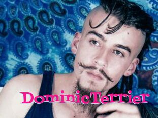 DominicTerrier