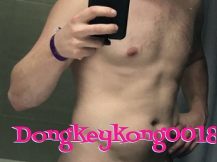 Dongkeykong0018