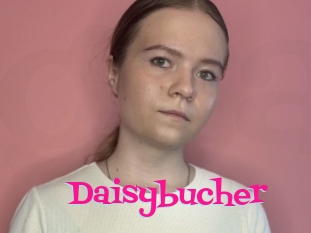 Daisybucher