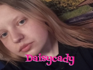 Daisycady