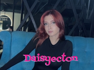 Daisyecton