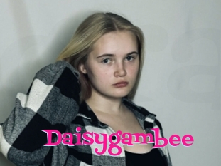 Daisygambee