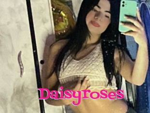 Daisyroses