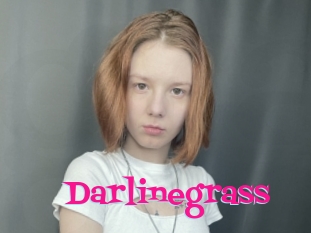 Darlinegrass