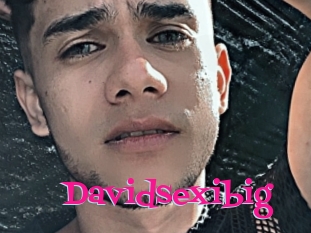 Davidsexibig