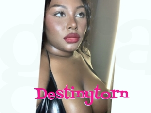 Destinytorn