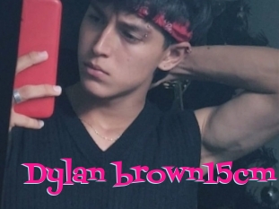 Dylan_brown15cm