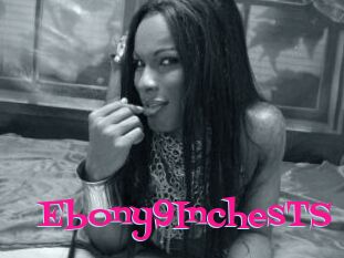 Ebony9InchesTS