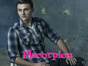 Elscorpion