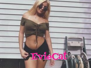 EvieCat