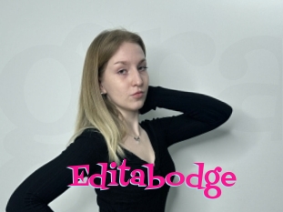 Editabodge