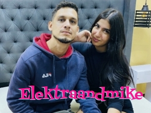 Elektraandmike