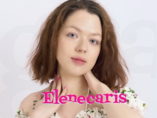 Elenecaris