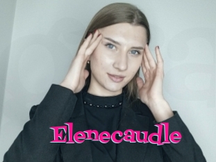 Elenecaudle