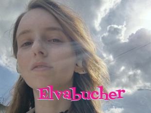 Elvabucher