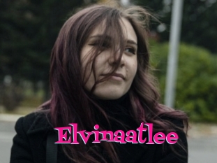 Elvinaatlee