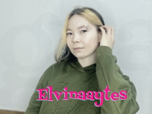 Elvinaaytes