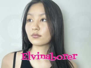 Elvinaborer