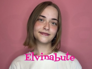 Elvinabute