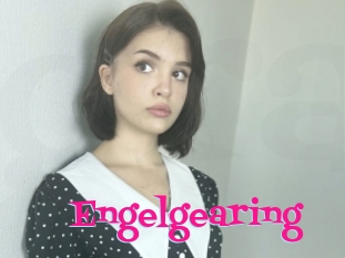 Engelgearing