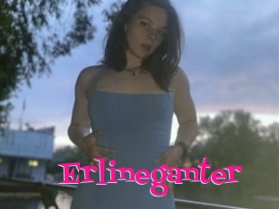 Erlineganter