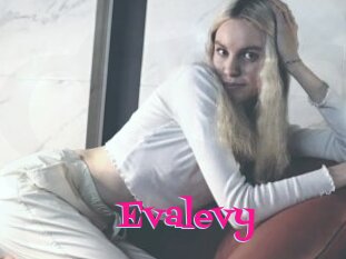 Evalevy