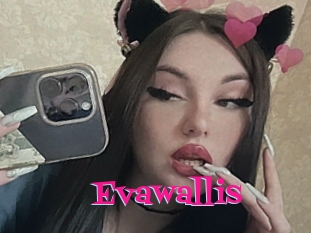 Evawallis