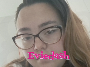 Eviedash