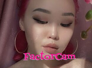 FactorCam