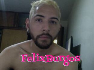 FelixBurgos