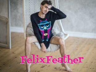 FelixFeather