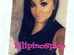 FilipinoSpice