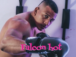 Falcon_hot