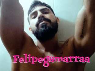 Felipegamarraa