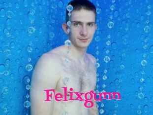 Felixgunn