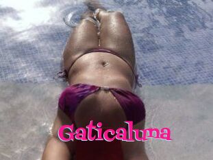 Gaticaluna