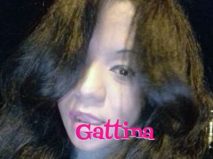 Gattina