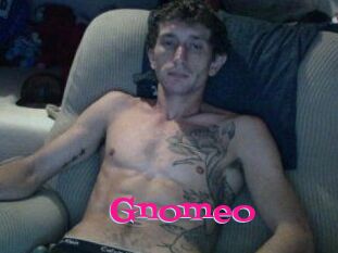 Gnomeo