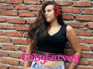 Gabyharvey