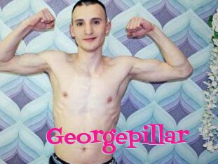 Georgepillar