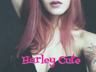Harley_Cute